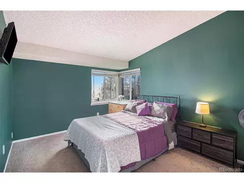 4366 E 117th Pl, Thornton, CO 80233 photo 10