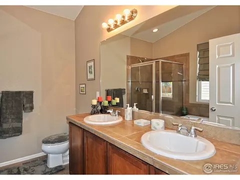 604 Botley Dr, Windsor, CO 80550 photo 14