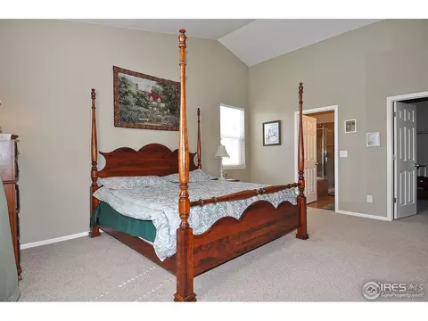 604 Botley Dr, Windsor, CO 80550 photo 12