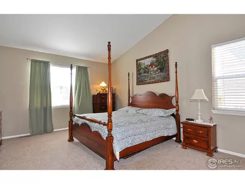 604 Botley Dr, Windsor, CO 80550 photo 13