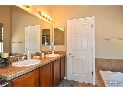 604 Botley Dr, Windsor, CO 80550 photo 16