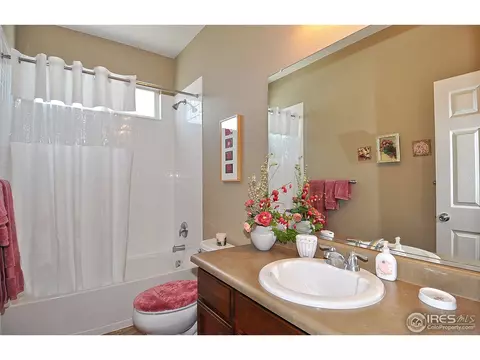 604 Botley Dr, Windsor, CO 80550 photo 20