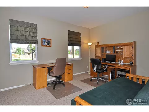 604 Botley Dr, Windsor, CO 80550 photo 18