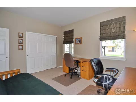 604 Botley Dr, Windsor, CO 80550 photo 19