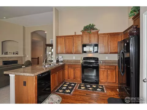 604 Botley Dr, Windsor, CO 80550 photo 9