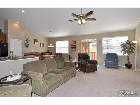 604 Botley Dr, Windsor, CO 80550 photo 5