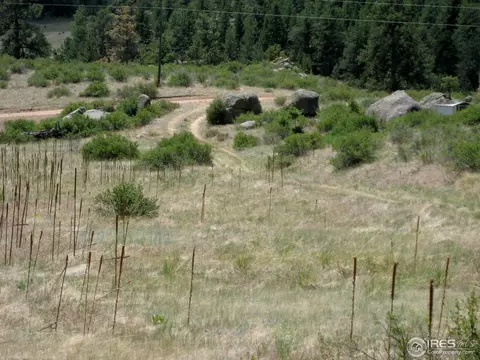 208 Haystack Rock Cir, Livermore, CO 80536 photo 7