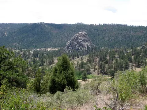 208 Haystack Rock Cir, Livermore, CO 80536 photo 8