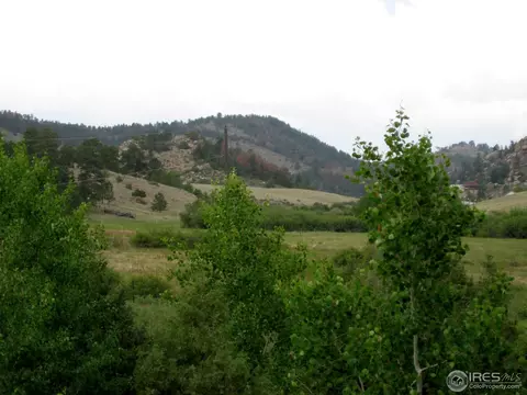 208 Haystack Rock Cir, Livermore, CO 80536 photo 9