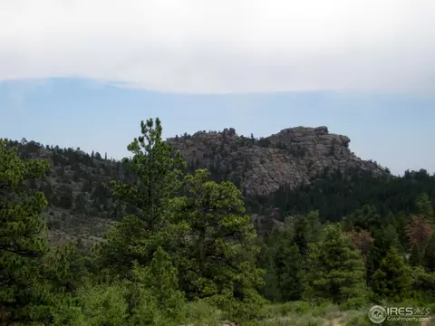 208 Haystack Rock Cir, Livermore, CO 80536 photo 13