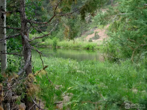 208 Haystack Rock Cir, Livermore, CO 80536 photo 10