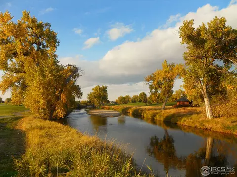 1850 E Seadrift Dr, Windsor, CO 80550 photo 8