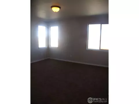2064 Bayfront Dr, Windsor, CO 80550 photo 11