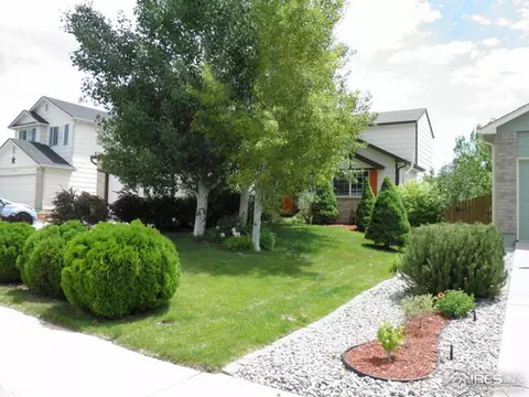 5424 Bobcat St, Frederick, CO 80504 photo 2