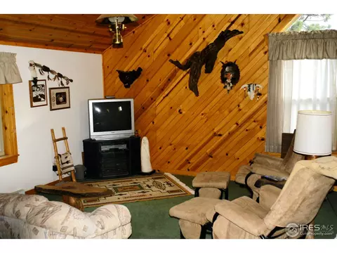 550 Mount Harvard Rd, Livermore, CO 80536 photo 9