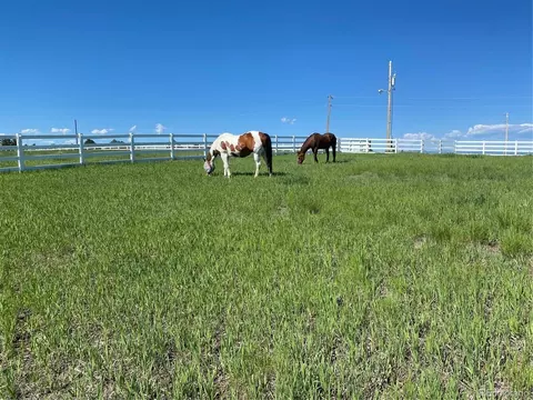378 Conestoga Rd, Franktown, CO 80116
