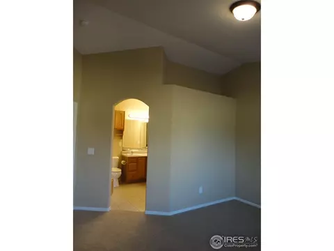312 Brophy Ct, Frederick, CO 80530 photo 19