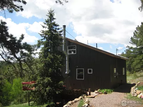 116 Hickok Trl, Ward, CO 80481 photo 1