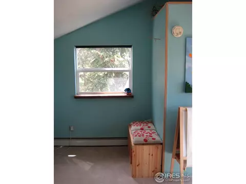 116 Hickok Trl, Ward, CO 80481 photo 19