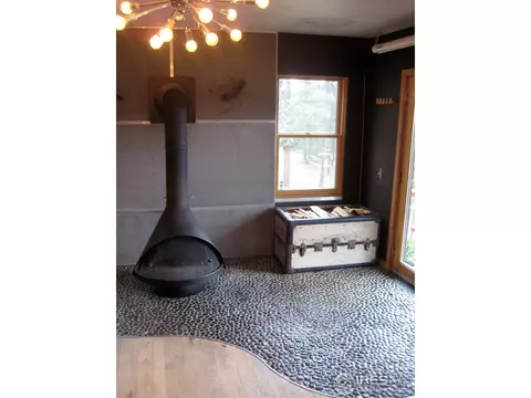116 Hickok Trl, Ward, CO 80481 photo 3