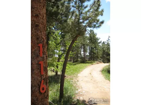 116 Hickok Trl, Ward, CO 80481 photo 22