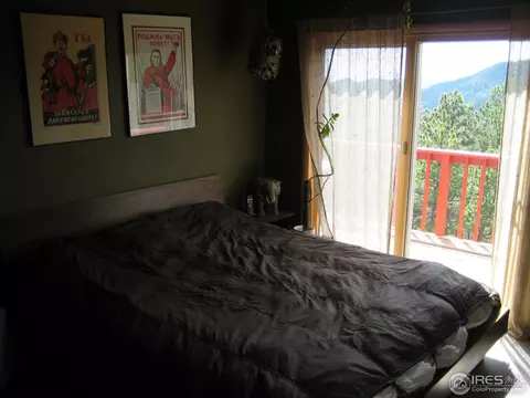 116 Hickok Trl, Ward, CO 80481 photo 13