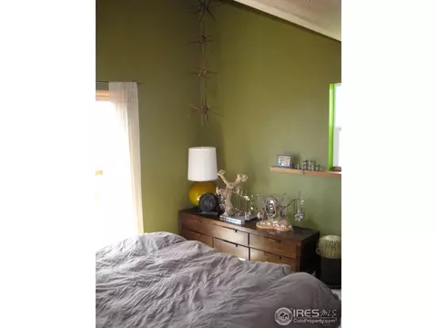 116 Hickok Trl, Ward, CO 80481 photo 14