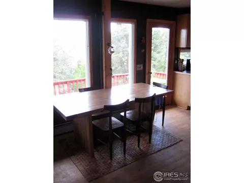 116 Hickok Trl, Ward, CO 80481 photo 8