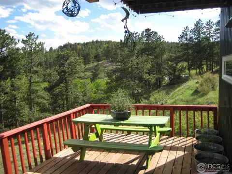 116 Hickok Trl, Ward, CO 80481 photo 2