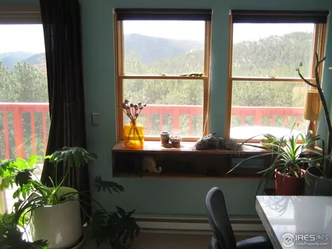 116 Hickok Trl, Ward, CO 80481 photo 16