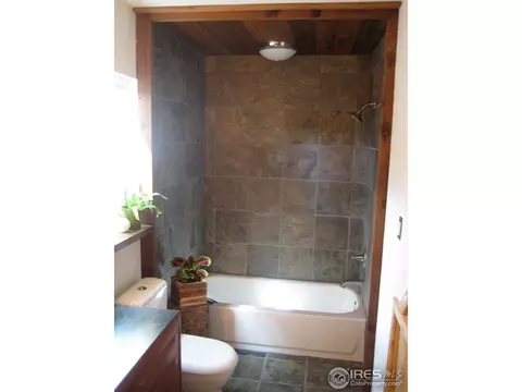 116 Hickok Trl, Ward, CO 80481 photo 10