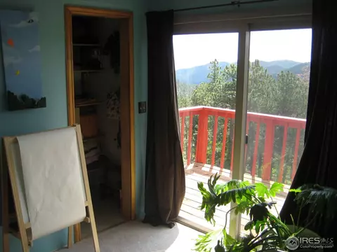 116 Hickok Trl, Ward, CO 80481 photo 17