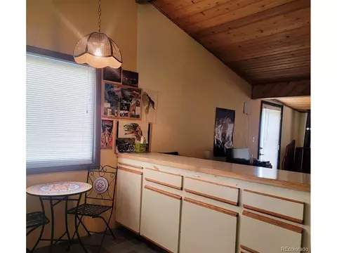 387 S Pine Dr, Bailey, CO 80421 photo 16