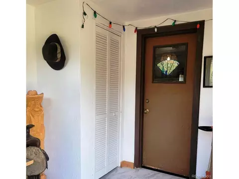 387 S Pine Dr, Bailey, CO 80421 photo 17