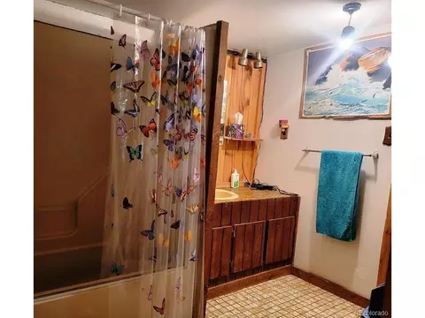387 S Pine Dr, Bailey, CO 80421 photo 12