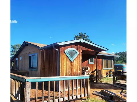 387 S Pine Dr, Bailey, CO 80421