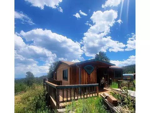387 S Pine Dr, Bailey, CO 80421 photo 5