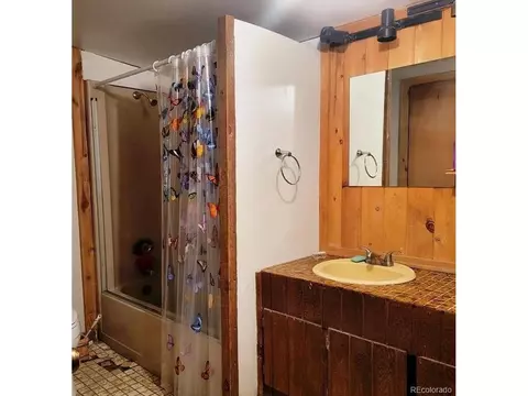 387 S Pine Dr, Bailey, CO 80421 photo 11