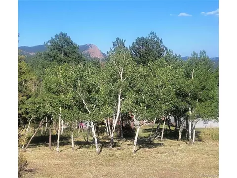 387 S Pine Dr, Bailey, CO 80421 photo 10
