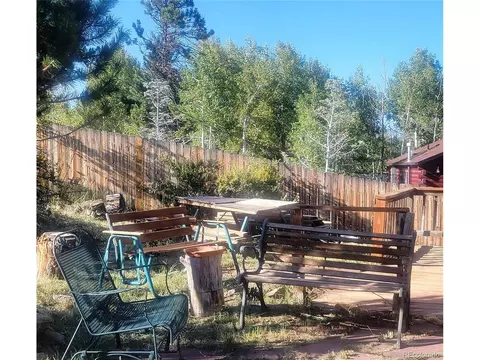 387 S Pine Dr, Bailey, CO 80421 photo 4