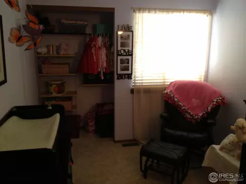 7729 Xavier Ct, Westminster, CO 80030 photo 7