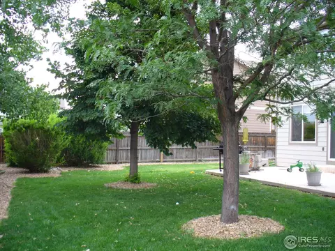 5907 E Conservation Dr, Frederick, CO 80504 photo 15