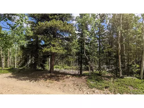 Roy Smith Rd, Central City, CO 80427 photo 15