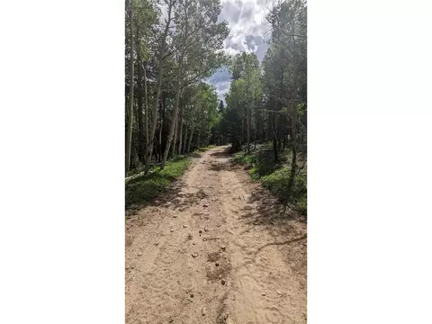 Roy Smith Rd, Central City, CO 80427 photo 12