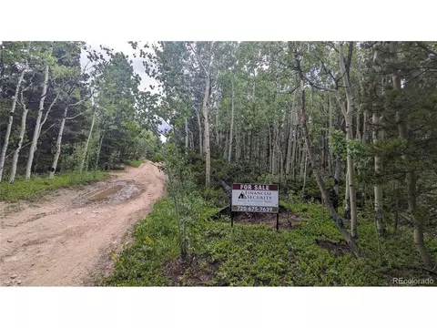 Roy Smith Rd, Central City, CO 80427
