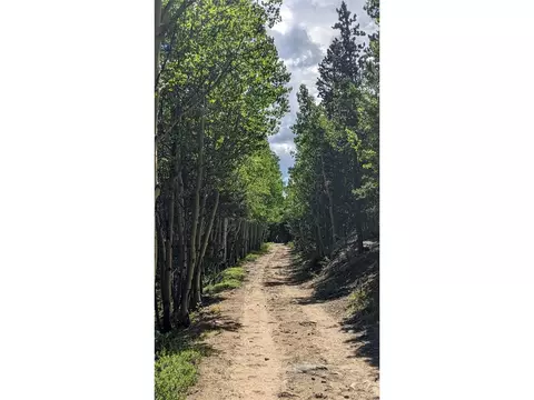 Roy Smith Rd, Central City, CO 80427 photo 9