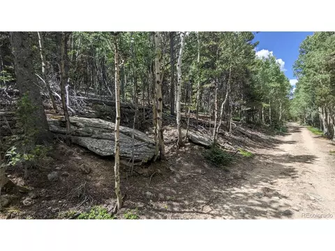 Roy Smith Rd, Central City, CO 80427 photo 11