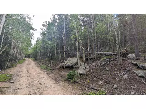 Roy Smith Rd, Central City, CO 80427 photo 17