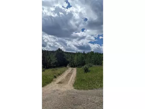 Roy Smith Rd, Central City, CO 80427 photo 18