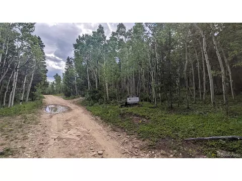 Roy Smith Rd, Central City, CO 80427 photo 6